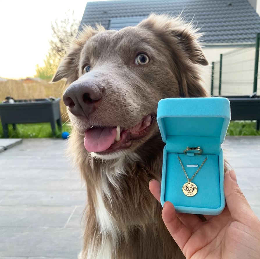 Elle va pleurer à chaudes larmes 😭 et ne plus jamais enlever son collier avec le visage de son animal préféré