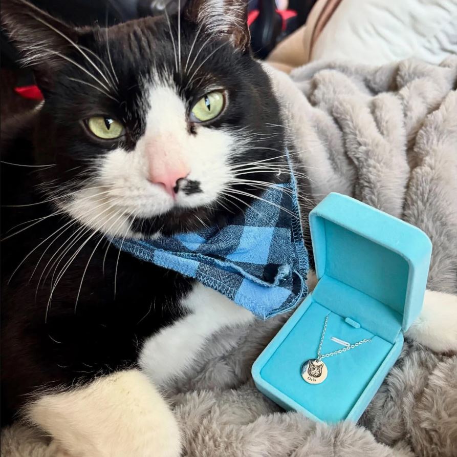 Elle va pleurer à chaudes larmes 😭 et ne plus jamais enlever son collier avec le visage de son animal préféré