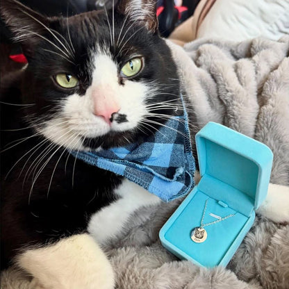 Elle va pleurer à chaudes larmes 😭 et ne plus jamais enlever son collier avec le visage de son animal préféré