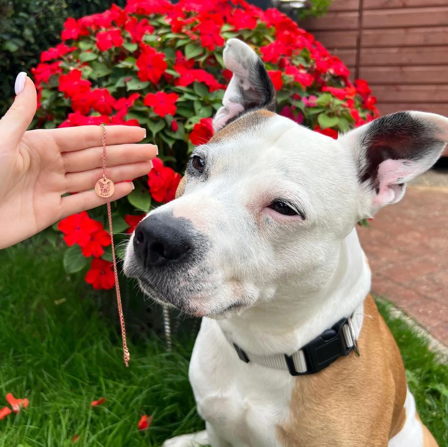 Elle va pleurer à chaudes larmes 😭 et ne plus jamais enlever son collier avec le visage de son animal préféré