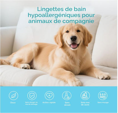 Lot de 10 lingettes de nettoyage pour chiens et chats – Lingettes de bain désodorisantes hypoallergéniques extra épaisses pour animaux de compagnie